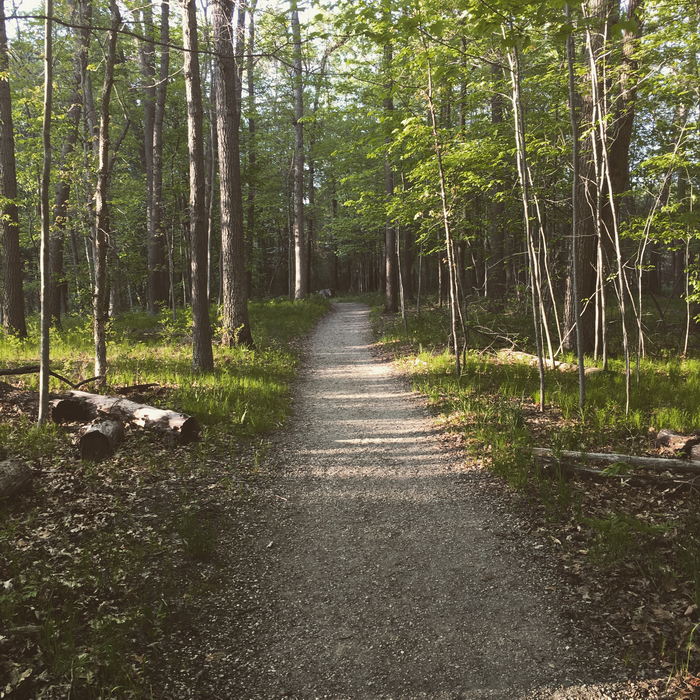 Kensington Metropark - 2016 Photo (newer photo)